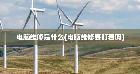 电脑维修是什么(电脑维修要盯着吗)