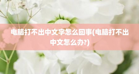 电脑打不出中文字怎么回事(电脑打不出中文怎么办?)