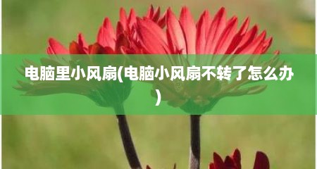 电脑里小风扇(电脑小风扇不转了怎么办)