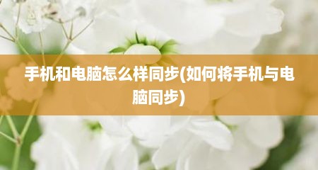 手机和电脑怎么样同步(如何将手机与电脑同步)