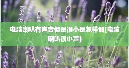电脑喇叭有声音但是很小是怎样调(电脑喇叭很小声)