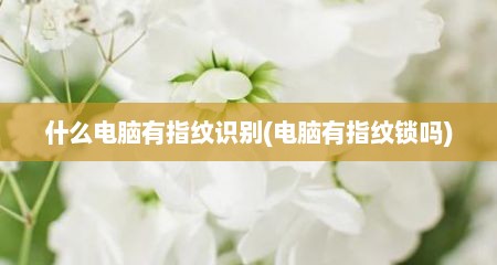 什么电脑有指纹识别(电脑有指纹锁吗)