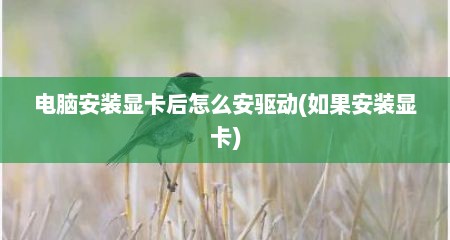电脑安装显卡后怎么安驱动(如果安装显卡)