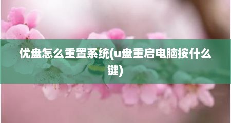 优盘怎么重置系统(u盘重启电脑按什么键)
