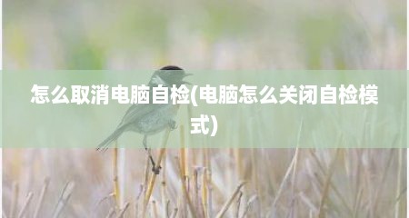怎么取消电脑自检(电脑怎么关闭自检模式)