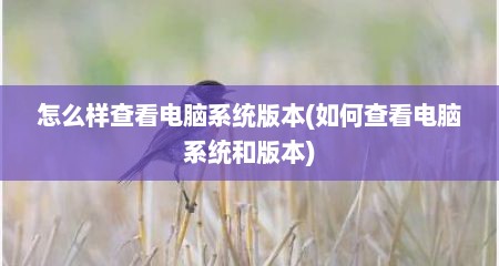 怎么样查看电脑系统版本(如何查看电脑系统和版本)