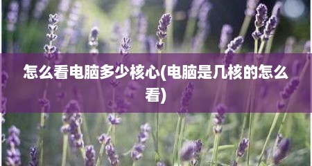 怎么看电脑多少核心(电脑是几核的怎么看)