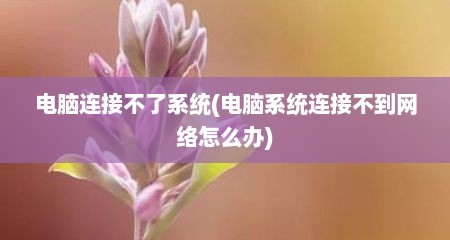 电脑连接不了系统(电脑系统连接不到网络怎么办)