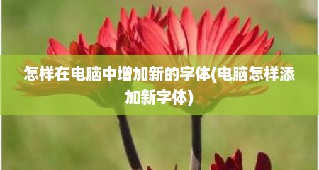 怎样在电脑中增加新的字体(电脑怎样添加新字体)