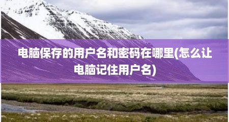 电脑保存的用户名和密码在哪里(怎么让电脑记住用户名)