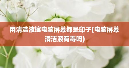 用清洁液擦电脑屏幕都是印子(电脑屏幕清洁液有毒吗)