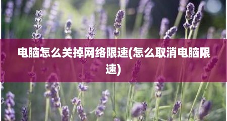 电脑怎么关掉网络限速(怎么取消电脑限速)