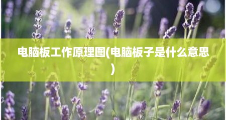 电脑板工作原理图(电脑板子是什么意思)