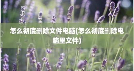 怎么彻底删除文件电脑(怎么彻底删除电脑里文件)
