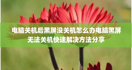 电脑关机后黑屏没关机怎么办电脑黑屏无法关机快速解决方法分享