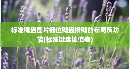 标准键盘图片键位键盘按键的布局及功能(标准键盘键值表)