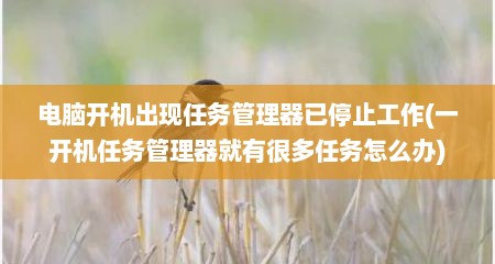 电脑开机出现任务管理器已停止工作(一开机任务管理器就有很多任务怎么办)
