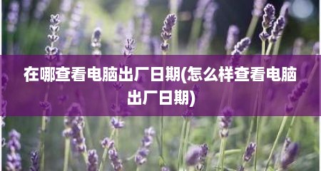 在哪查看电脑出厂日期(怎么样查看电脑出厂日期)