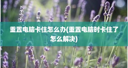重置电脑卡住怎么办(重置电脑时卡住了怎么解决)