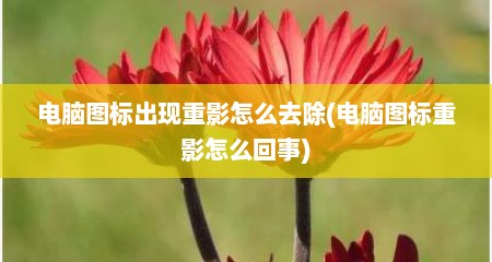 电脑图标出现重影怎么去除(电脑图标重影怎么回事)