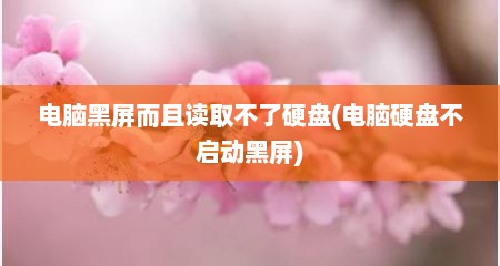 电脑黑屏而且读取不了硬盘(电脑硬盘不启动黑屏)