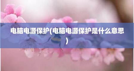 电脑电源保护(电脑电源保护是什么意思)