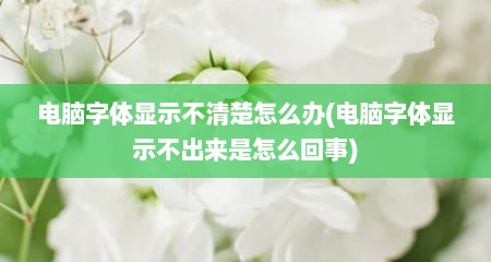 电脑字体显示不清楚怎么办(电脑字体显示不出来是怎么回事)