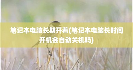 笔记本电脑长期开着(笔记本电脑长时间开机会自动关机吗)
