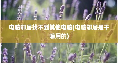电脑邻居找不到其他电脑(电脑邻居是干嘛用的)