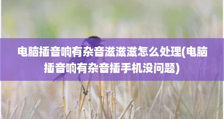 电脑插音响有杂音滋滋滋怎么处理(电脑插音响有杂音插手机没问题)