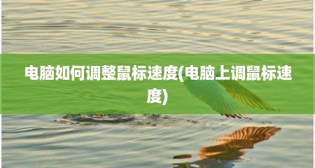 电脑如何调整鼠标速度(电脑上调鼠标速度)