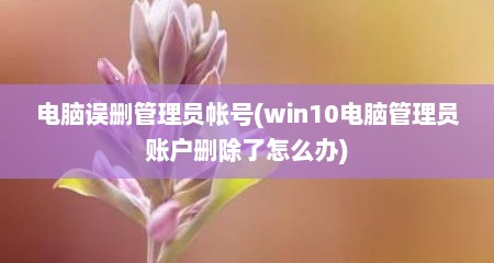 电脑误删管理员帐号(win10电脑管理员账户删除了怎么办)