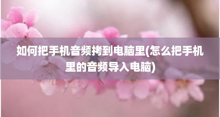 如何把手机音频拷到电脑里(怎么把手机里的音频导入电脑)