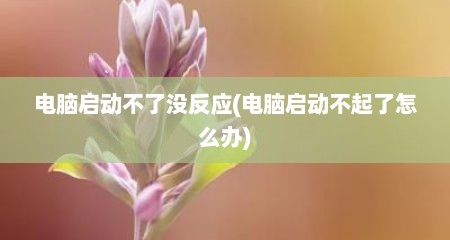 电脑启动不了没反应(电脑启动不起了怎么办)