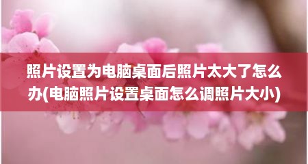 照片设置为电脑桌面后照片太大了怎么办(电脑照片设置桌面怎么调照片大小)