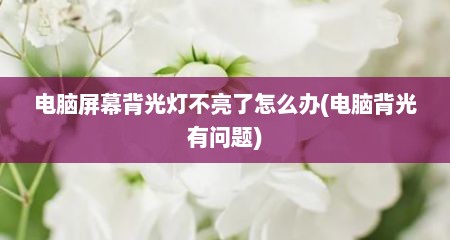 电脑屏幕背光灯不亮了怎么办(电脑背光有问题)