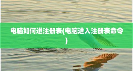 电脑如何进注册表(电脑进入注册表命令)