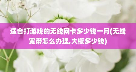 适合打游戏的无线网卡多少钱一月(无线宽带怎么办理,大概多少钱)