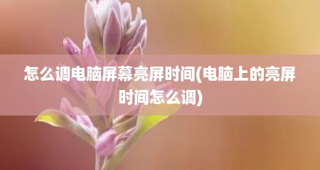 怎么调电脑屏幕亮屏时间(电脑上的亮屏时间怎么调)