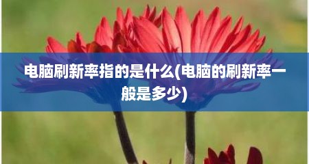 电脑刷新率指的是什么(电脑的刷新率一般是多少)