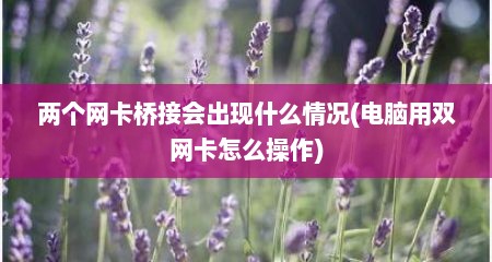 两个网卡桥接会出现什么情况(电脑用双网卡怎么操作)