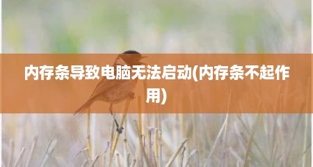 内存条导致电脑无法启动(内存条不起作用)