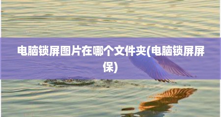 电脑锁屏图片在哪个文件夹(电脑锁屏屏保)