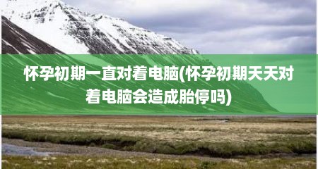 怀孕初期一直对着电脑(怀孕初期天天对着电脑会造成胎停吗)