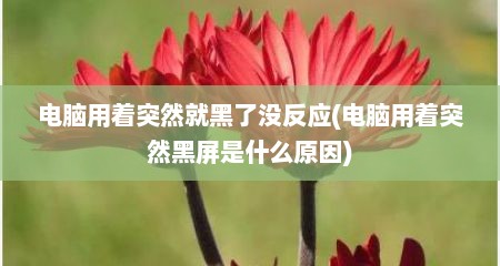 电脑用着突然就黑了没反应(电脑用着突然黑屏是什么原因)