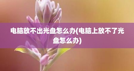 电脑放不出光盘怎么办(电脑上放不了光盘怎么办)