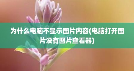 为什么电脑不显示图片内容(电脑打开图片没有图片查看器)