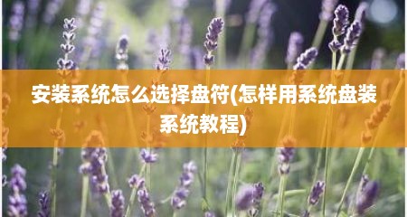 安装系统怎么选择盘符(怎样用系统盘装系统教程)