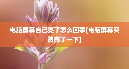 电脑屏幕自己亮了怎么回事(电脑屏幕突然亮了一下)