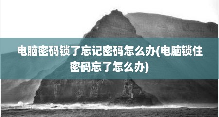 电脑密码锁了忘记密码怎么办(电脑锁住密码忘了怎么办)